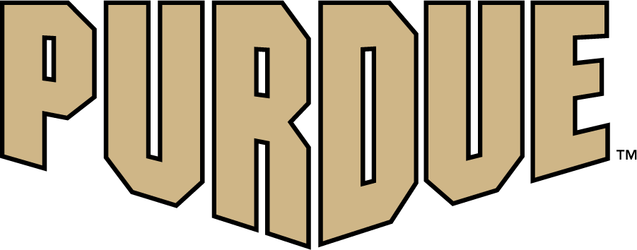 Purdue Boilermakers 2020-Pres Wordmark Logo v2 diy iron on heat transfer